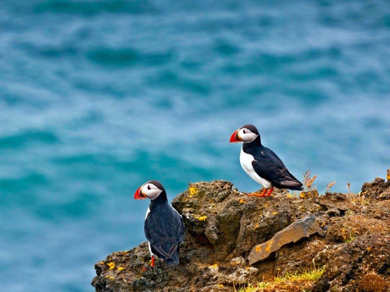 Best things to see and do in Iceland