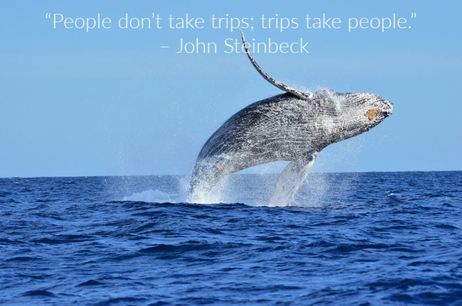 Family Travel Quotes