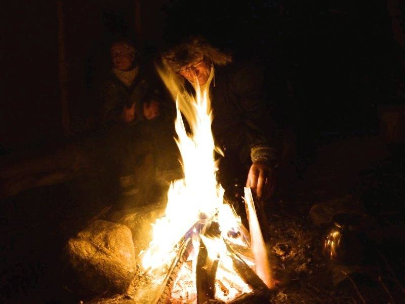 Reindeer Safari Lapland