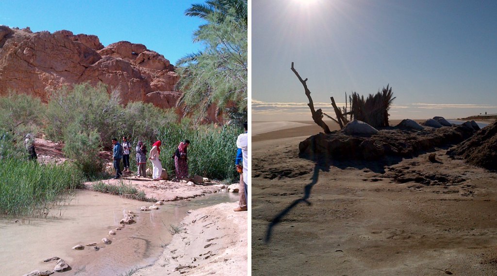 My Family Adventure: A Taste of Tunisia