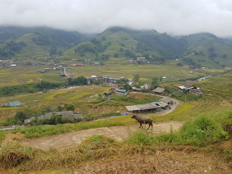 Travelling to Vietnam with Kids