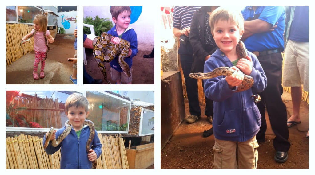 Canals of Xochimilco