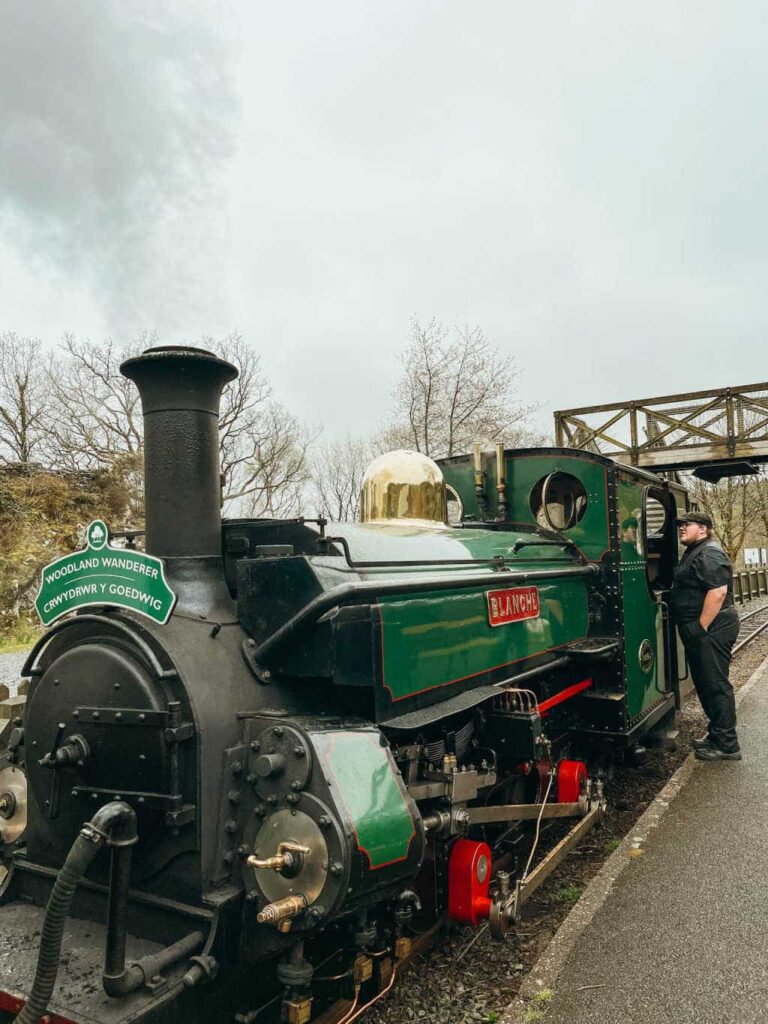 Things to do in Llyn Peninsula