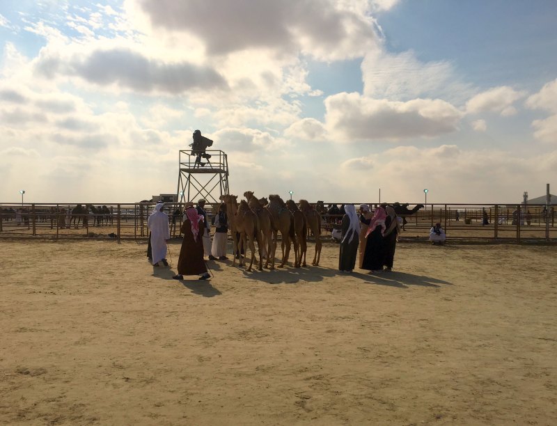 Festivals around the World for kids